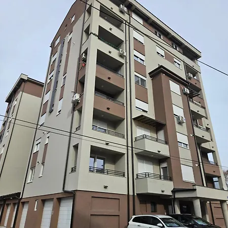 Jokica * Paracin