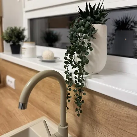 Διαμέρισμα Jokica *